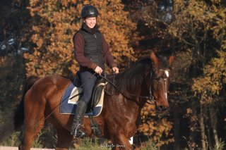 Lehrgang Bewegungstraining nach Eckart Meyners