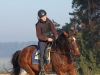 Lehrgang Bewegungstraining nach Eckart Meyners