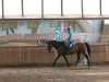 Lehrgang Bewegungstraining nach Eckart Meyners