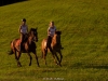 Sommerweide 2011