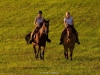 Sommerweide 2011