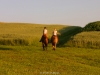 Sommerweide 2011